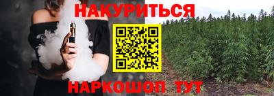 гашик Краснознаменск